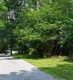 Wooded Lot in Private Community